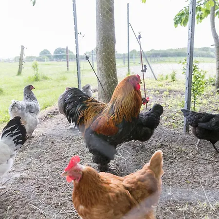Kleine Auszeit Munkbrarup